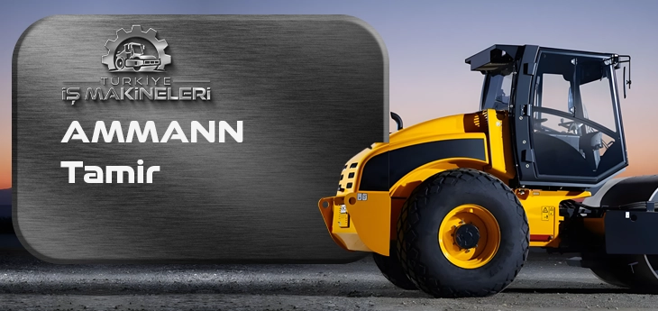 AMMANN Tamir